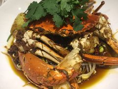 -石头咕(葵蓬店)