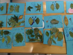 -京师双语幼儿园