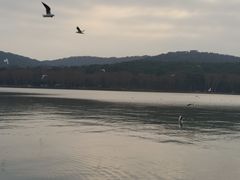 -水上明月·湖景餐厅