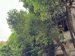 -源一咖啡馆(麒麟巷步行街店)
