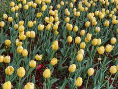 -豫园志愿服务青年中心