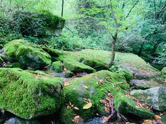 -陕西省红河谷森林公园