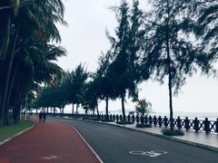 -万绿园