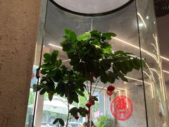 大堂-Infica Coffee