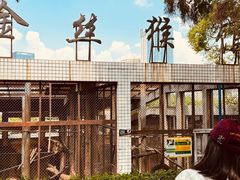 -昆明动物园