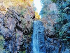 -马峦山郊野公园