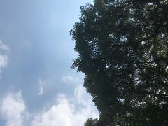 -热带风暴水上乐园(新镇路)