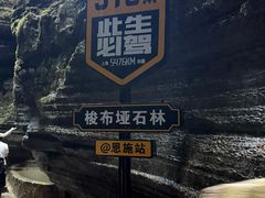 -梭布垭石林景区