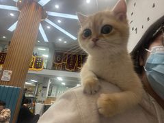 -联合动物医院(光谷诊疗中心)