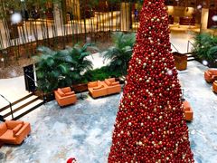 -水木锦堂·自助铁板烧(望京凯德MALL店)