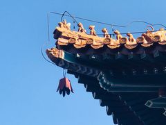-颐和园
