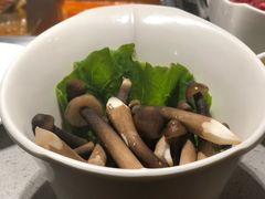 黑鸡纵菌-海底捞火锅(吴中路店)