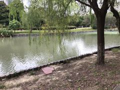 -中央公园(苏州工业园区)