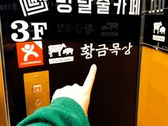 -黄金牧场(明洞总店)
