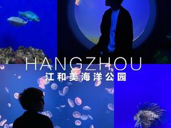 -江和美海洋公园