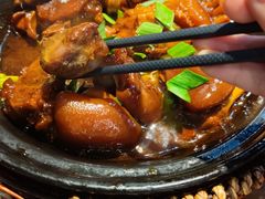 红焖猪手-田园居·佳宴(桑田路店)