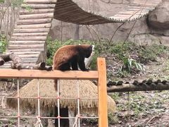 -融汇温泉