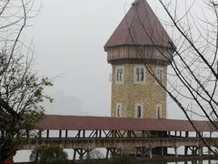 -九龙湖公园