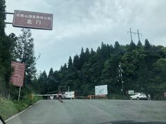 -武陵山森林公园