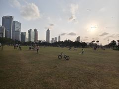 -万绿园