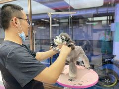 -FAELING PETS美天灵宠物(富力广场店)