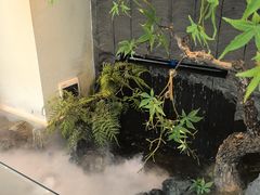 -大榕树下顺德菜(融创茂店)