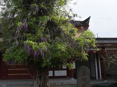 -仙游寺