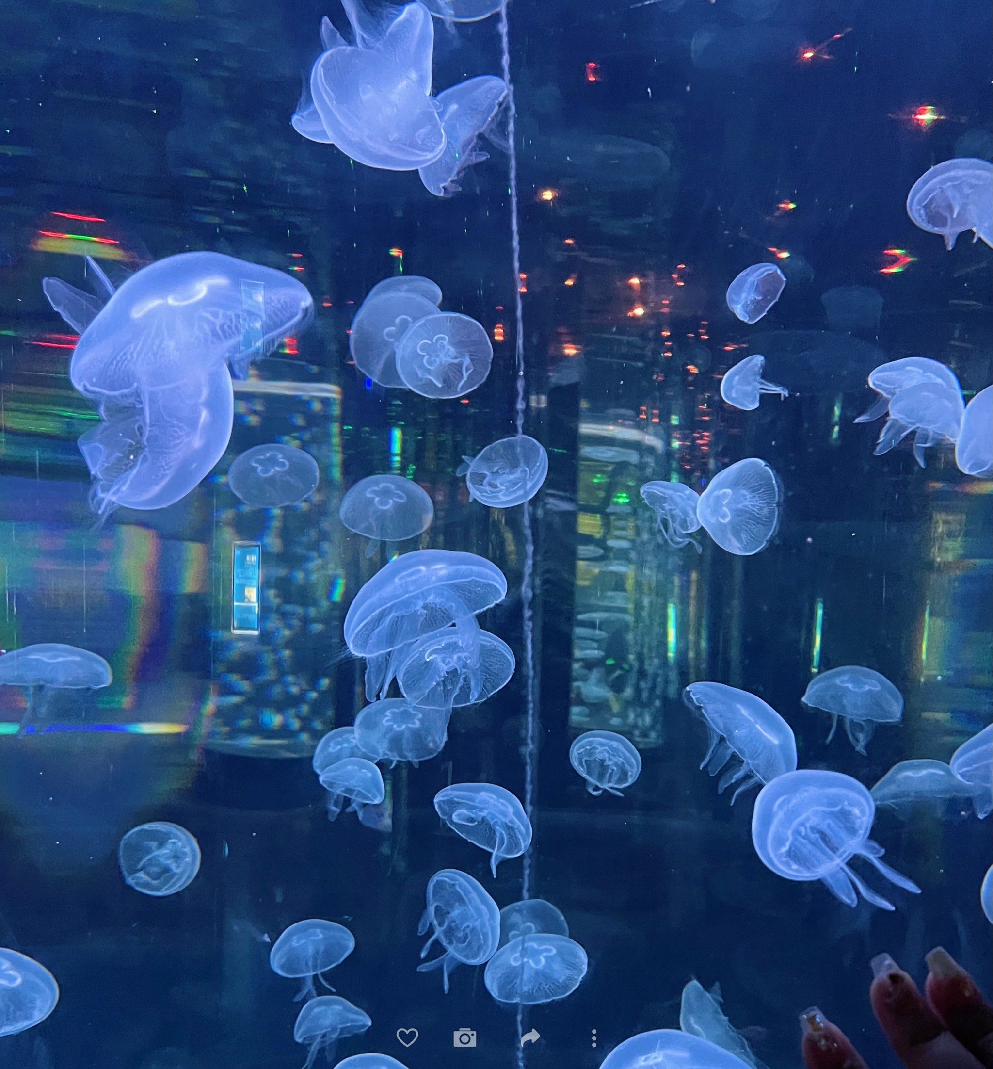 未来水族馆的一天体验