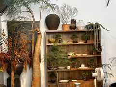 -自由生长植物工作室(深港花卉中心店)