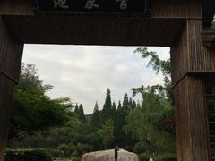 -习家池