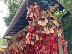 -黔灵山公园