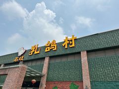-石岐乳鸽村(南海第三分店)