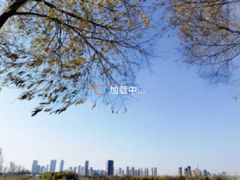 -呼兰河口湿地公园