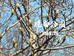 -睦南公园
