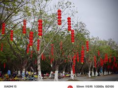 -番禺大夫山森林公园