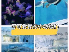 -珠海长隆海洋王国