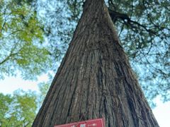 -香山公园-东宫门售票处