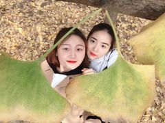 -汉景帝阳陵博物院