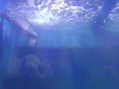 -上海长江河口科技馆