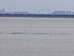 -观潮胜地公园