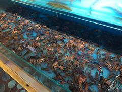 -加尔森烤肉海鲜·火锅烧烤自助