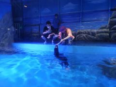 -鄂尔多斯野生动物园