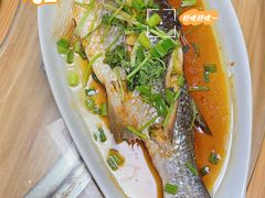 清蒸鱼-力哥地道海南菜·联谊文昌鸡老店