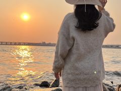 -宝安西湾红树林湿地公园