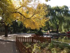 -玲珑塔公园