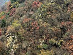 -秦岭终南山世界地质公园翠华山景区