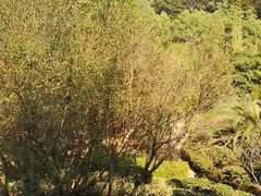 -韶山毛泽东同志故居