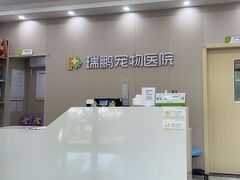 -瑞鹏宠物医院·骨外科·心肾科·肿瘤科(九亭店)