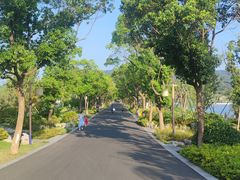 -东钱湖小普陀景区