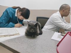 -安安宠医·臻爱宠物医院·宠保定点(营门口路分院)